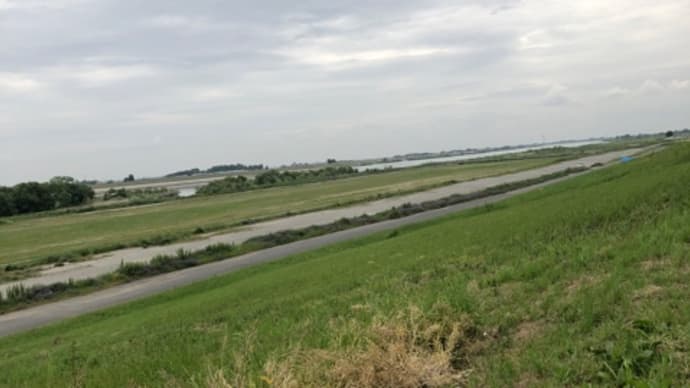 葛和田の渡し