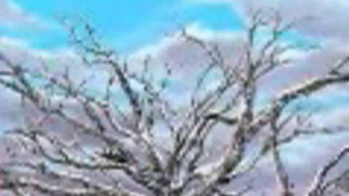 木に秘めた不思議なパワー