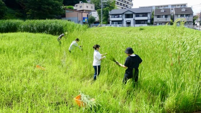 泥だらけのビオトープ作業