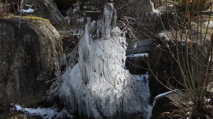 高林寺のしぶき氷を見に行く