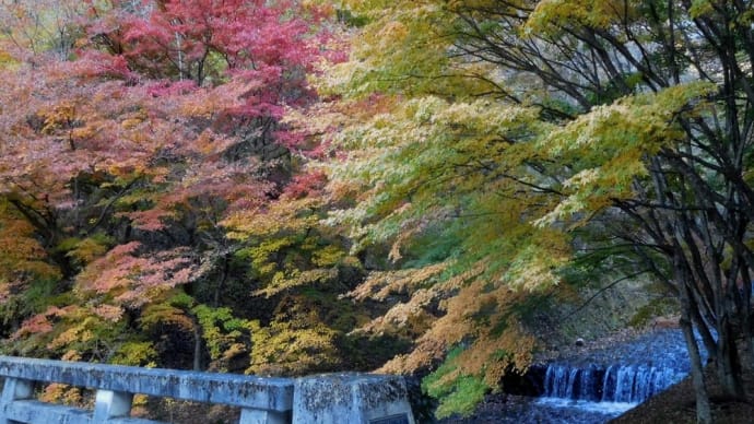 牛伏川の紅葉