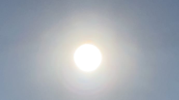 お客様 9