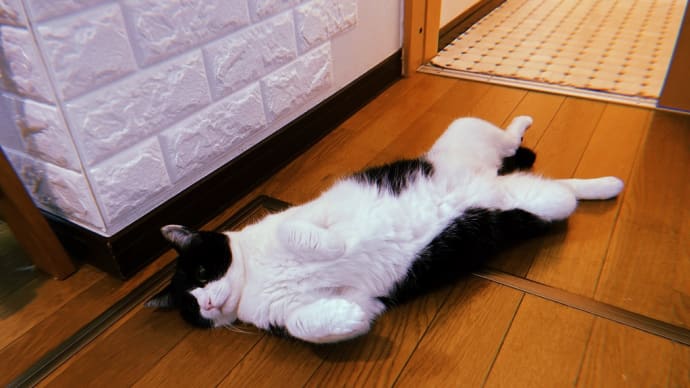 リアルタイムの更新(湿気と気圧にやられている)