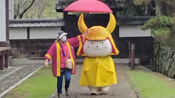ひこにゃん、合羽姿だった、の巻