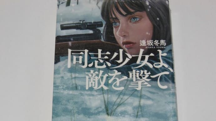 同志少女よ、敵を撃て