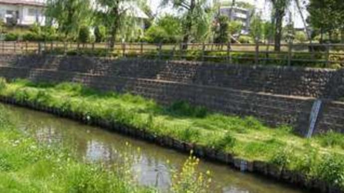 濯紫公園と坂下橋