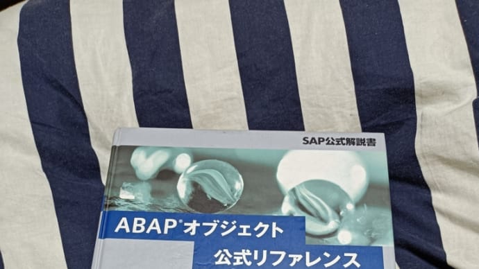 SAPの2027年問題について