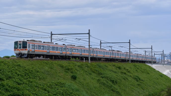311系(G1+G11)