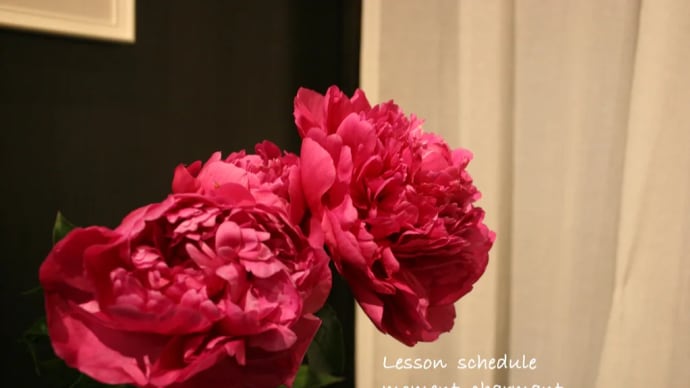 Lesson schedule 5月
