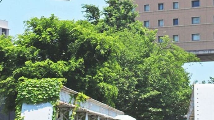 横浜みなとみらい エアキャビン