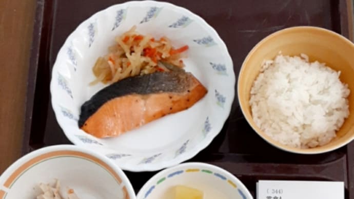 意外な所に?&19日目の夕飯