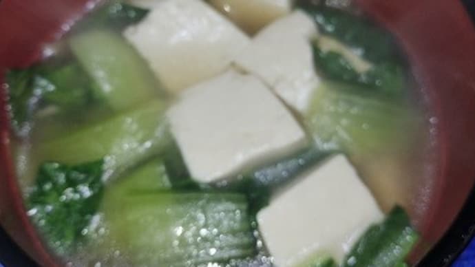 【03/08晩御飯】フカヒレ青梗菜豆腐スープ、もずくと納豆も併せていただいたんだね：D