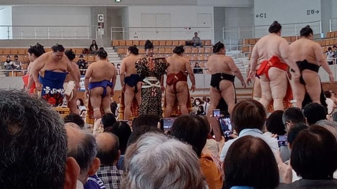 大相撲十一月場所 １０日目 三段目取組結果