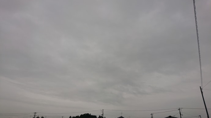 近場でお出かけ