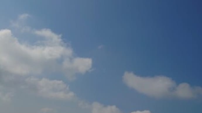 決まりなんてないさ🎵