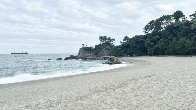 桂浜