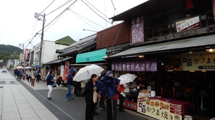 笠間稲荷神社菊まつりと常陸国出雲大社