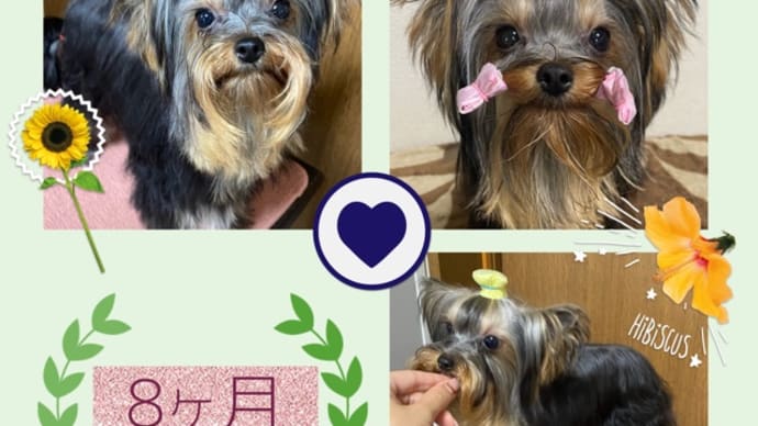 良い感じに育ってるぞっ!