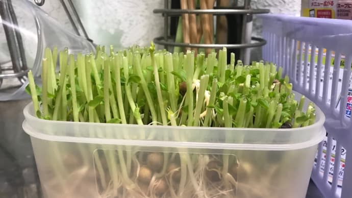 絶賛再生中！