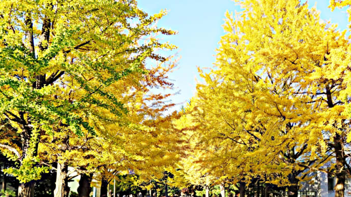 紅葉めぐり２０２２〜中島公園（その２）〜