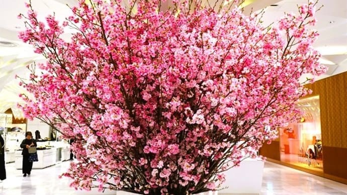 「桜(ロビー装花)」/日本橋三越本店