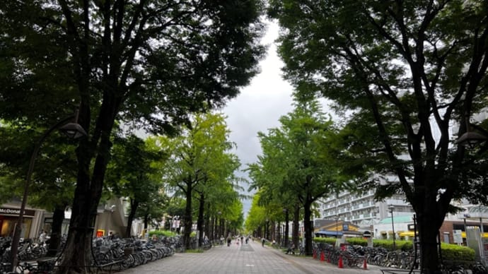 【教室】東京・光ヶ丘沖縄三線教室お稽古‼️😊