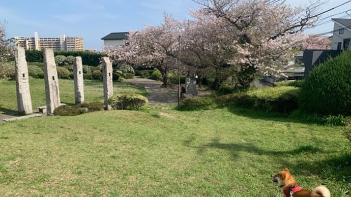 地元でも楽しめる景色や花・遺跡様のオブジェとわんこ