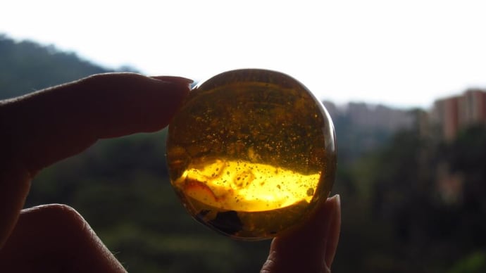 巨大化する琥珀色の物体と混んでいる皮膚科とネット回線