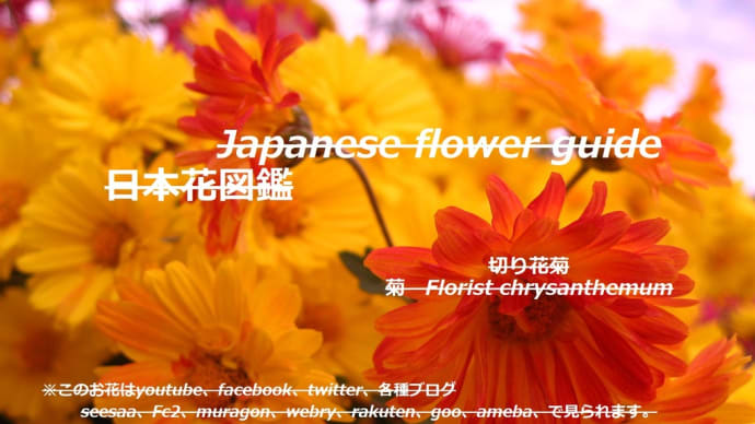春じゃない？！Isn't it spring? !!