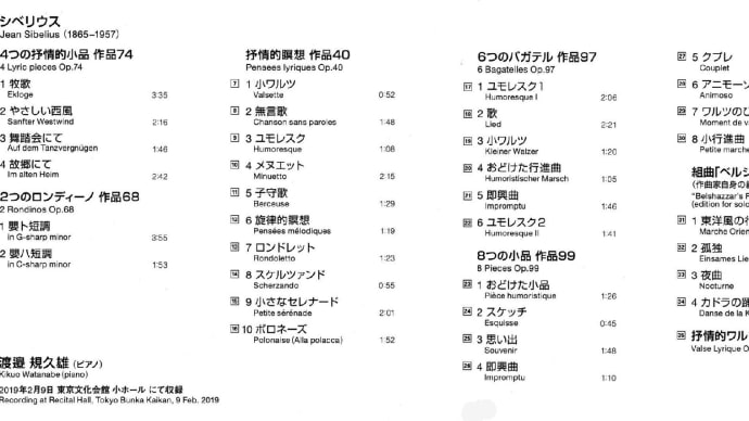 冬の夜の静かな雨