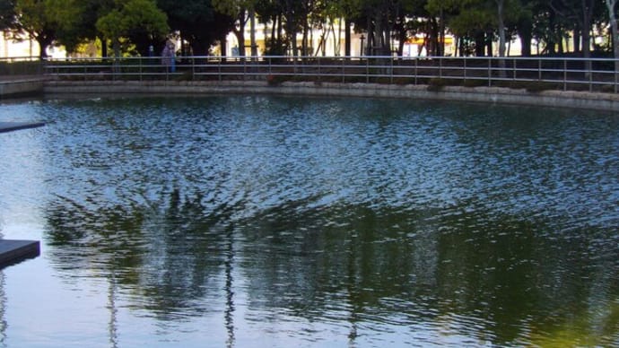 池の面のさざ波