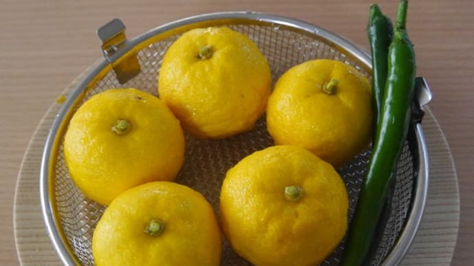 柚子胡椒を作ってみた!