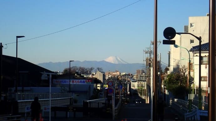 無邪気に飛び跳ねるうさぎのように