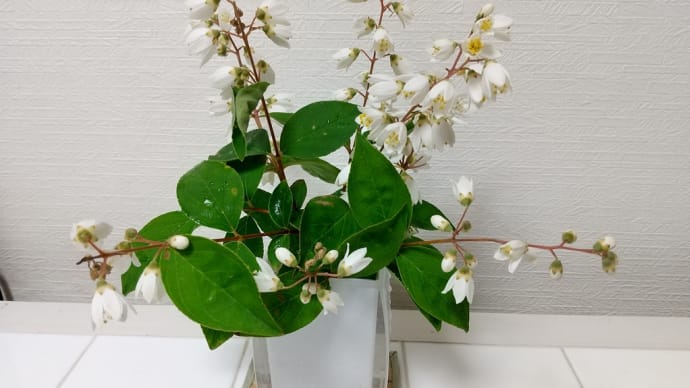 夏は来ぬ