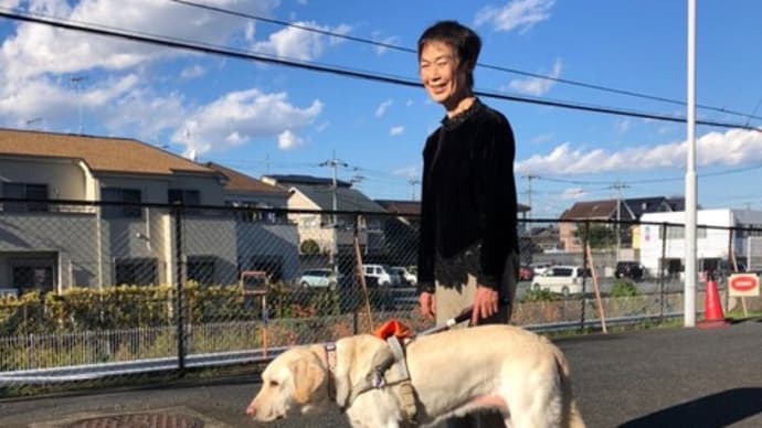 盲導犬と共に!その2