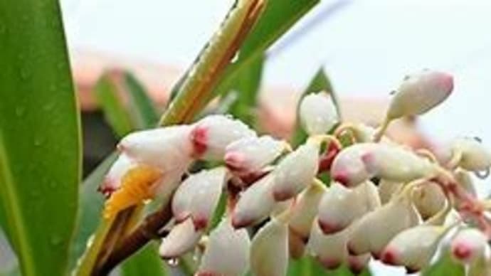 4月