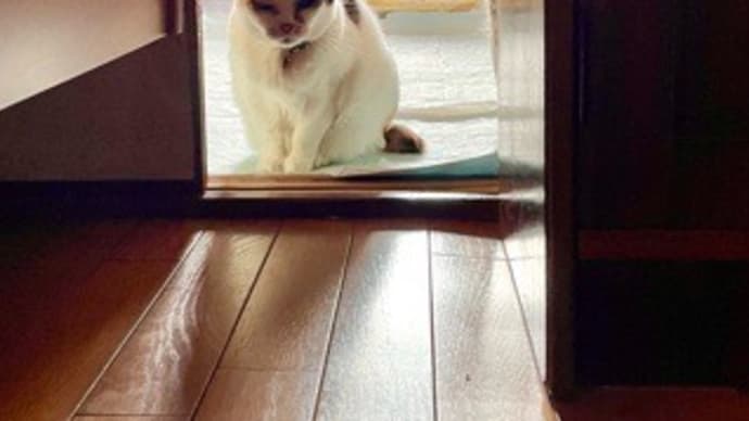 暑さ寒さも彼岸まで