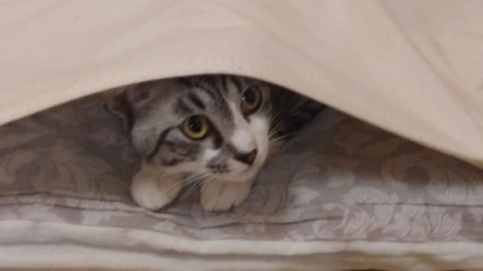あれから…