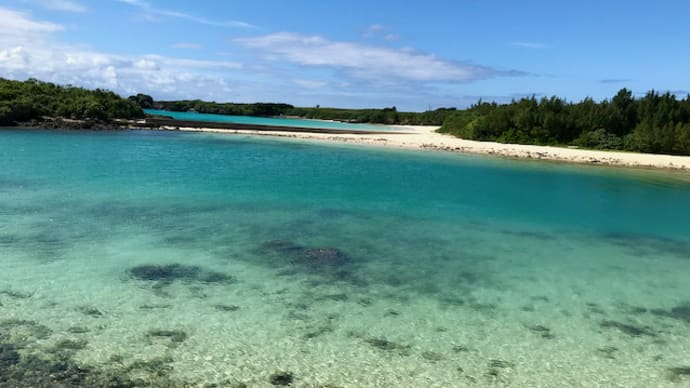 宮古島からの便り