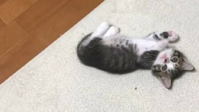 今日も1日お疲れ様です😆🎵🎵