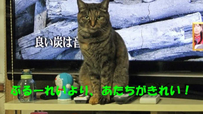 テレビの想い出