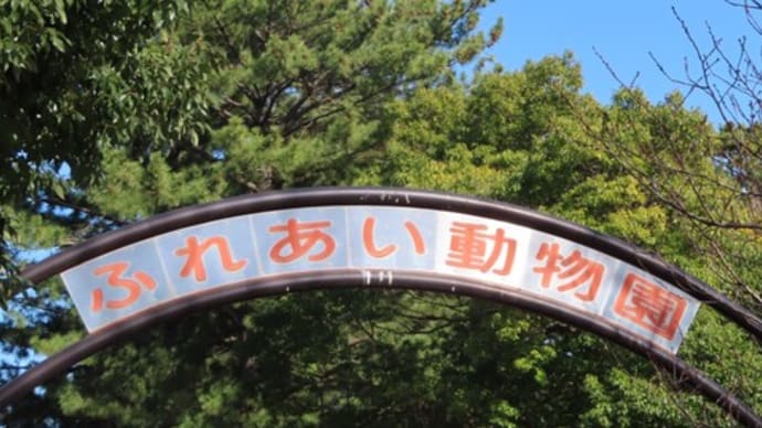 平塚総合公園・ふれあい動物園(鳥舎)