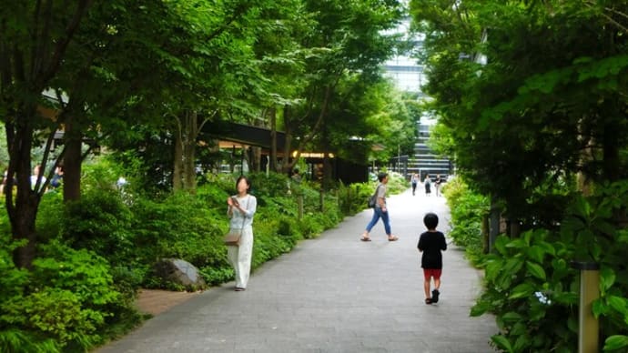 緑の中で元気回復です ~グリーンスプリングス・地域の花~