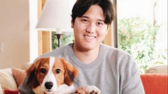 大谷翔平選手とワンちゃん微笑まし、MVP2回目の満票おめでとうさんです。
