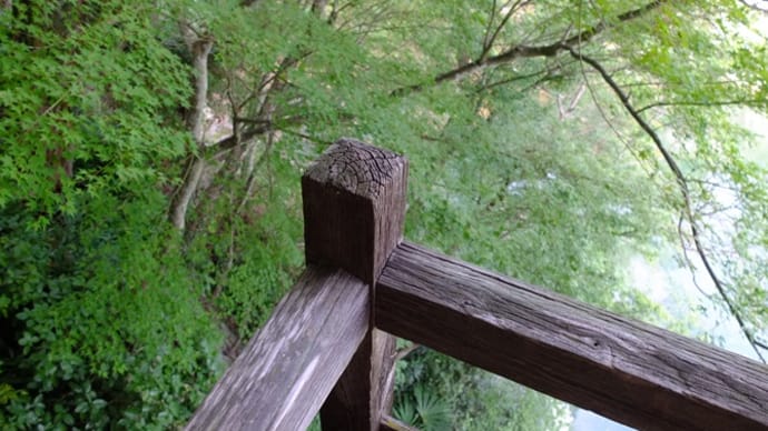 臥龍山荘 不老庵 🍃🌳