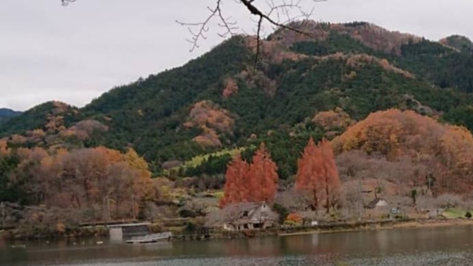 12/1(木)北風の大塩湖・モクレンの蕾🎵80日間世界一周🎵