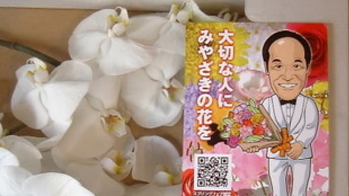 お花にも。