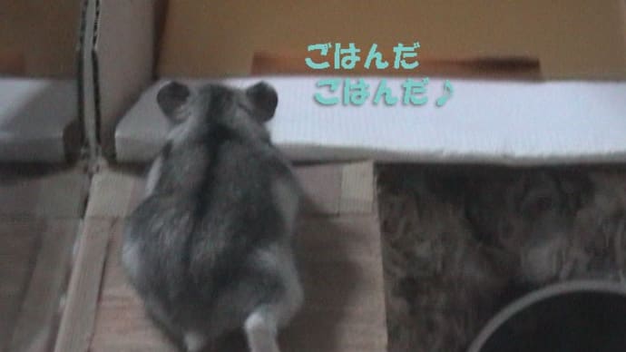 「器用に上り込んで」って?