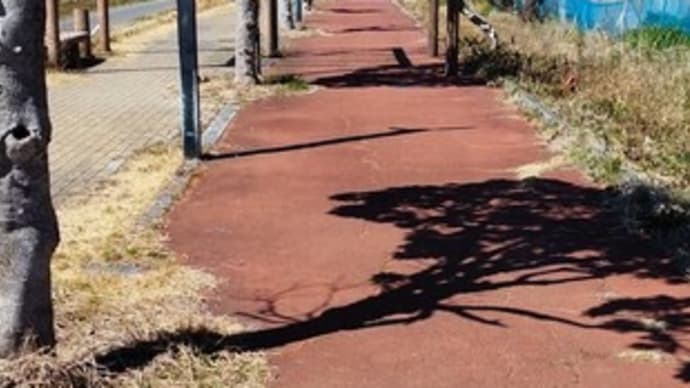 九十九里鐵道廃線跡。その3。関東天然瓦斯。「←2.5㎞ 甘藷栽培発祥地」・青木昆陽。「西」駅。(「銚子往還」をゆく。番外編。)
