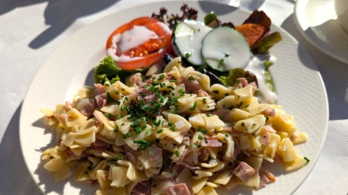 Cafe Gloriette@ウィーン シェーンブルン宮殿の庭園にある優雅なカフェでオーストリアの麺料理「Schinkenfleckerl」を味わいました!